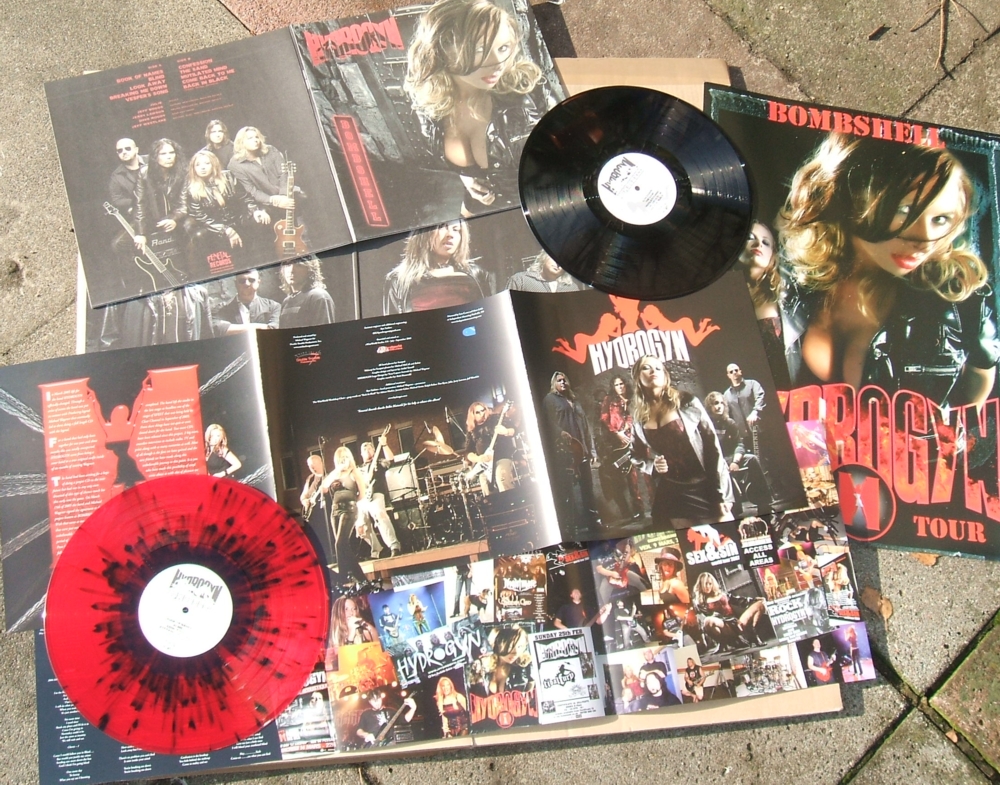 SCARLET ANGEL LP with all the parts