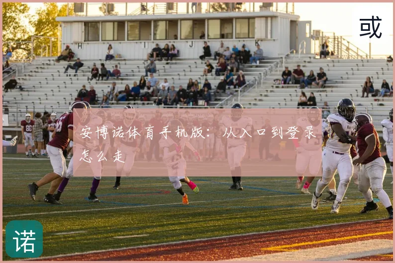 安博诺体育手机版：从入口到登录怎么走